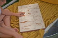 Les a rodina  -  drevené edukačné puzzle  v českom jazyku