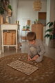 Baktérie a vírusy - drevené vzdelávacie puzzle