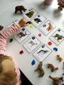 Náučné karty lesné zvieratá v slovenskom jazyku