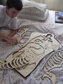 Ľudské telo - drevené edukačné puzzle