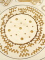 Živočíšna bunka - drevené vzdelávacie puzzle