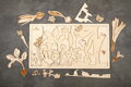 Koreňová zelenina - drevené edukačné puzzle