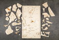 Lesné zloženie - drevené edukačné puzzle
