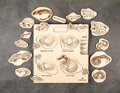 Obojživelníky -40% - drevené edukačné puzzle v českom jazyku