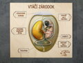 Vtáčie embryo  LIKVIDÁCIA