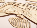 Anatómia psa  - drevené edukačné puzzle