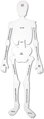 Kostra AKCIA- penové puzzle Learning Resources