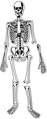 Kostra AKCIA- penové puzzle Learning Resources