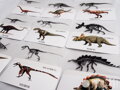Dinosaury- 31 kartičiek v slovenskom jazyku Juchuuu