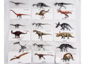 Dinosaury- 31 kartičiek v slovenskom jazyku Juchuuu