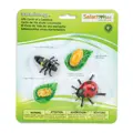 Safari LTD Lienka - životný cyklus