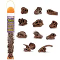 Safari LTD - lebky dinosaurov