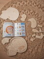 Anatómia hlavy  - drevené edukačné puzzle