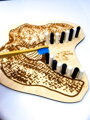 Dinosaur Štefan