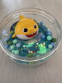 Rajolína Baby shark - žralok