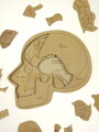 Anatómia hlavy  - drevené edukačné puzzle