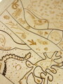 Lesné zloženie - drevené edukačné puzzle