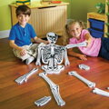 Kostra AKCIA- penové puzzle Learning Resources