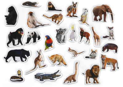Magnetky - Spoznaj exotické zvieratká 28 ks