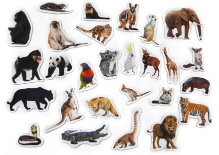 Magnetky - Spoznaj exotické zvieratká 28 ks