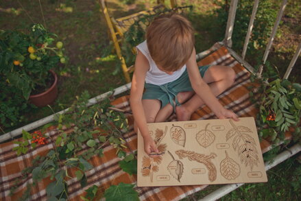 Čo spadlo zo stromu 2  -edukačné puzzle v sloveskom jazyku