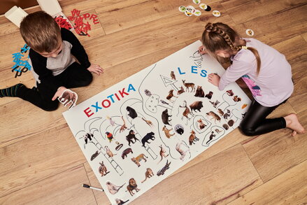 Magnetky - Spoznaj lesné zvieratká 28 ks