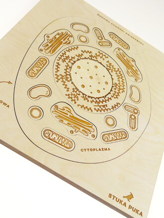 Živočíšna bunka - drevené vzdelávacie puzzle