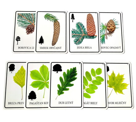 Náučné karty stromy v slovenskom jazyku