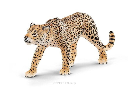 Schleich - Leopard