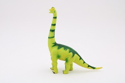 Brachiosaurus 