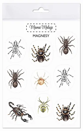 Magnetky - pavúky