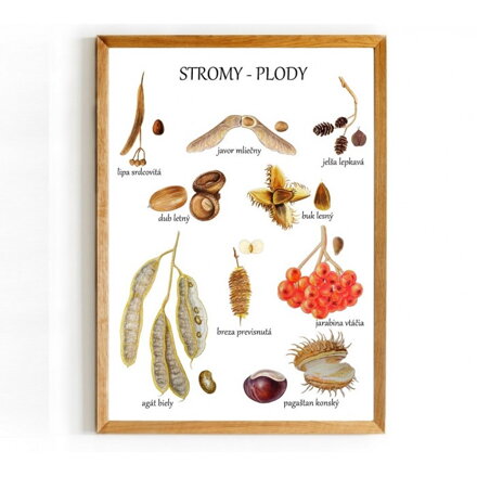 Plagát Stromy - PLODY