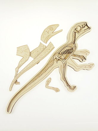 Veľké drevené puzzle dinosaura 