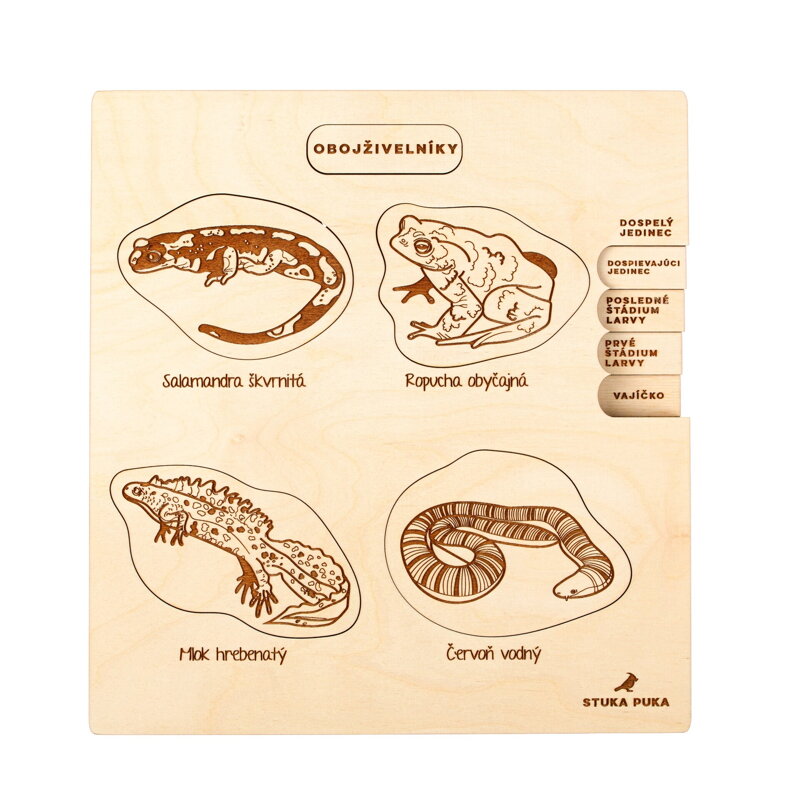 Obojživelníky - drevené vzdelávacie puzzle Obojživelníky - drevené vzdelávacie puzzle