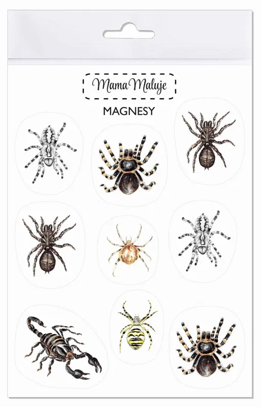 Magnetky - pavúky