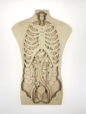 Ľudské telo - drevené edukačné puzzle