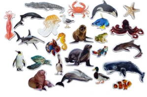 Magnetky - spoznaj podmorské zvieratá 26 ks