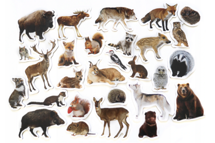 Magnetky - Spoznaj lesné zvieratká 28 ks