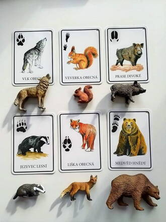 Náučné karty lesné zvieratá v slovenskom jazyku