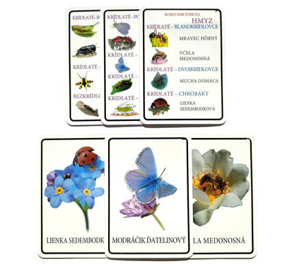 Náučné karty hmyz v slovenskom jazyku