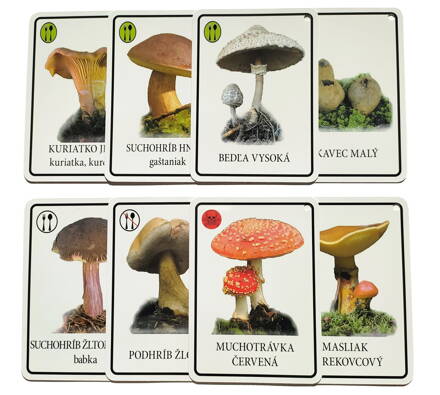 Výukové karty houbičky v českom jazyku
