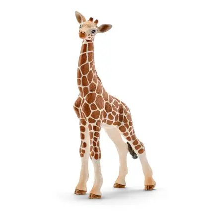 Žirafie mláďa