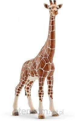 Žirafa samica -Schleich