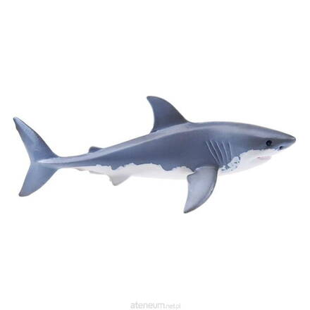 Žralok biely