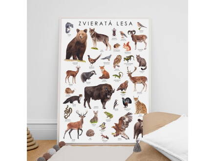 Sojkovie - plagát lesné zvieratá v českom jazyku