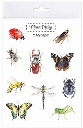 Magnetky- hmyz