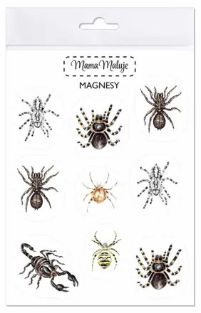Magnetky- pavúky